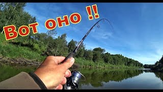 Отчеты о рыбалке на фион смоленск