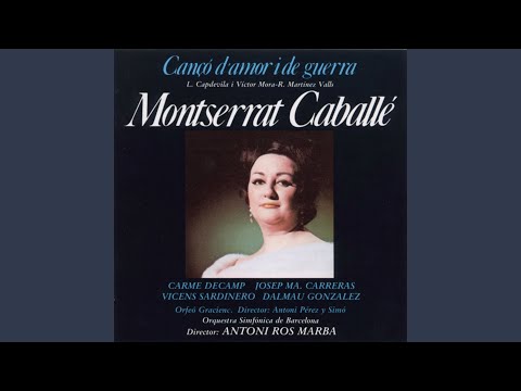 Cançó d'Amor i de Guerra I: Evocació al Pirineu