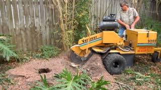 preview picture of video 'Small Stump Grinder for Bay St. Louis, MS Backyard'