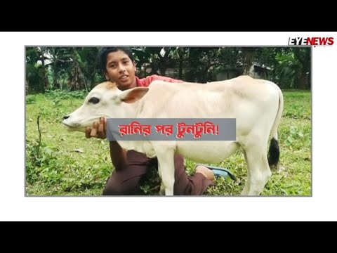 গিনেস রেকর্ড বুক: এবার স্থান পাবে কি টুনটুনি?