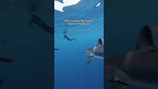 Download lagu Mako Shark Bites My Fins! #shark #mako #sharkbite #sharkattack #sharkdiving #thalassophobia mp3