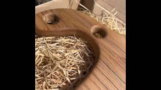 Kuchyňské prkénko 