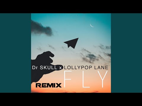 Fly (Naksi X Darwin Extended Remix)