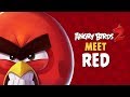 ANGRY BIRDS 2 MEET THE FLOCK