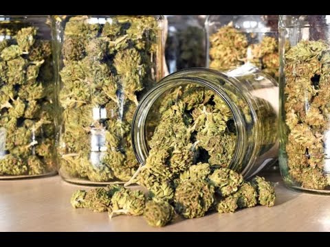 07.2023 RO Marijuana - Sesiune Investigativa - Gabriela Duta Hipnoza Regresiva Ezoterica