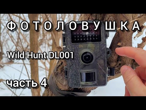 Фотоловушка Wild Hunt DL001 / Часть 4