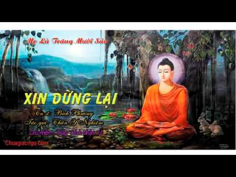 Xin dừng lại