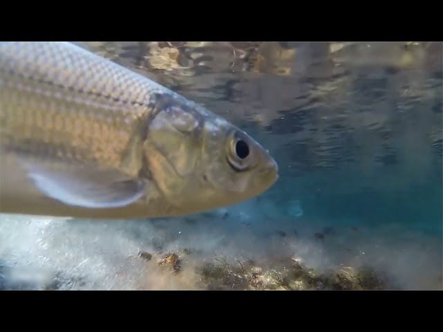 В центре внимания – Байкал
