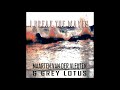 Maarten van der Vleuten and Grey Lotus - I Break The Waves (Vocal)