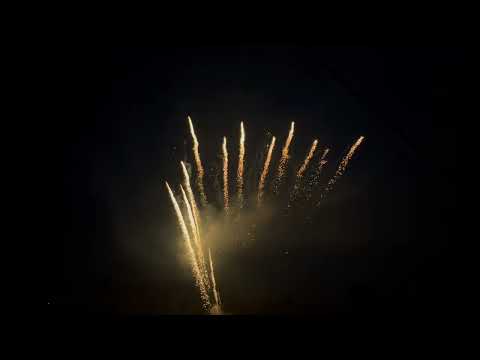 5330   Brocade tails fan