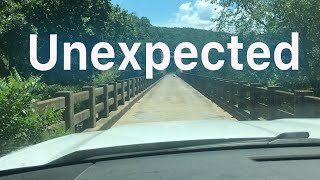 Homesteading Hurdles: Lizard Intrusion and Barndo Solutions and update