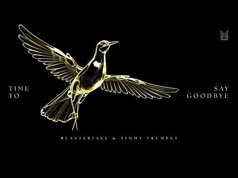 Blasterjaxx & Timmy Trumpet   Time To Say Goodbye [Visualizer]
