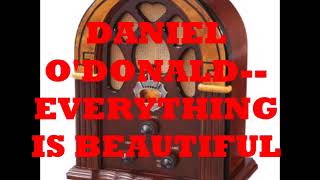 DANIEL O'DONALD   EVERYTHING IS BEAUTIFUL