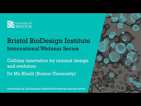BBI International Webinar Series - Dr Mo Khalil (Boston University)