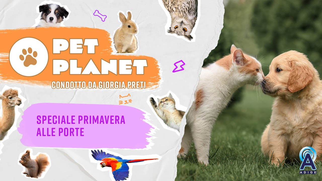 Descrizione dell'immagine