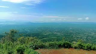 Download lagu status wa di pagi hari mp3 Download lagu status wa di pagi hari mp3