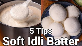 Download lagu How to Make Soft Idli with 5 Basic Tips | Spongy Idli Batter with Wet Grinder - No Soda No Yeast mp3
