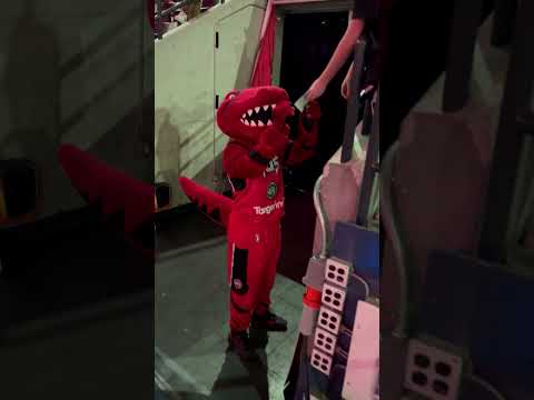 Meeting Raptors 905 mascot and getting his autograph @Raptors905 @SultiSports