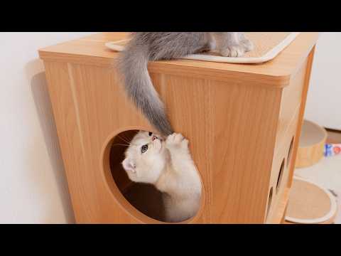 YouTube 썸네일