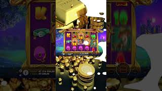 Не ожидал такой выплаты от этого слота Dog House #youtubeshorts