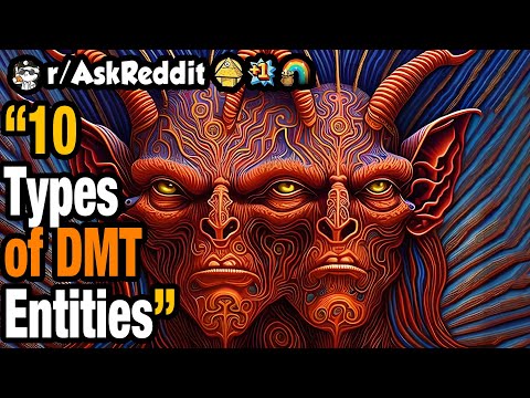 Types of DMT Entities Explained In Detail
