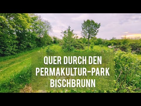 Wanderung durch Permakultur-Park Bischbrunn - ein Paradies inmitten Monokulturwüsten