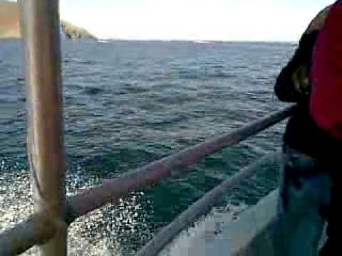 RJ DIDAR(me and my friends,kor fakkan sea beach,fajira,united arab emirates