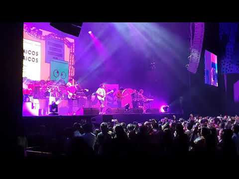 Little Jesus - Químicos