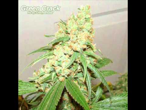 Crucified & McMike - Ganja Clouds