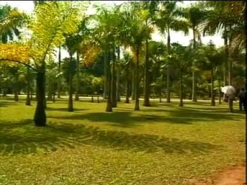 GEN Dequan - Deep in the Bamboo Forest 哏德全 竹林深处