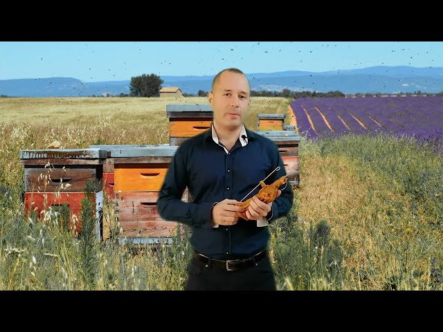 Vídeo relacionado con Velón herbóreo San Cipriano - Ritual místico contra maleficios y protección - Las Velas de Mariano