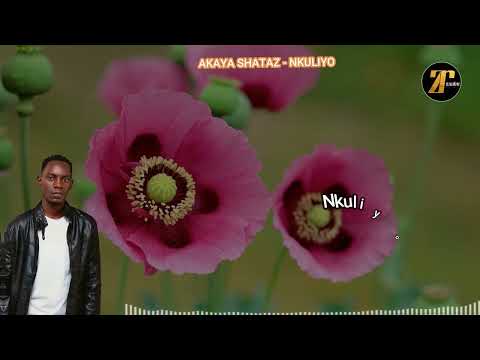 Akaya shataz - Nkuliyo (Official Lyrics Video)