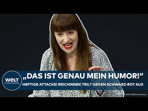 BUNDESTAG: "Pure Heuchelei!" Heidi Reichinneks radikale Abrechnung mit AFD und Schwarz-Rot