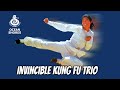 Wu Tang Collection Invincible Kung Fu Trio