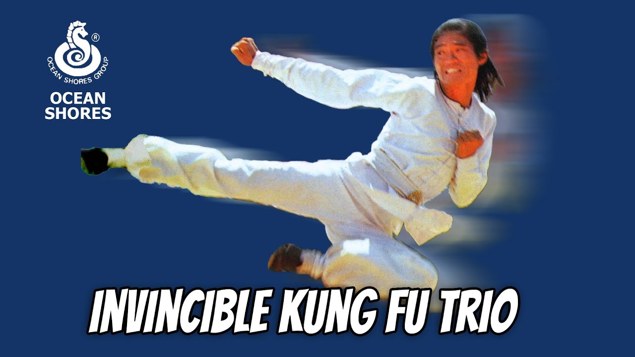 Wu Tang Collection - Invincible Kung Fu Trio