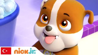 Pati Devriyesi | Rubble'den Seçmeler – 1. Bölüm | Nick Jr.