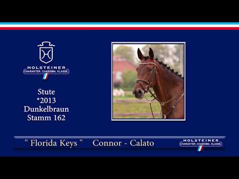 Holsteiner Elite-Reitpferdeauktion 2019 | Nr. 124 Florida Keys - Turnierimpression