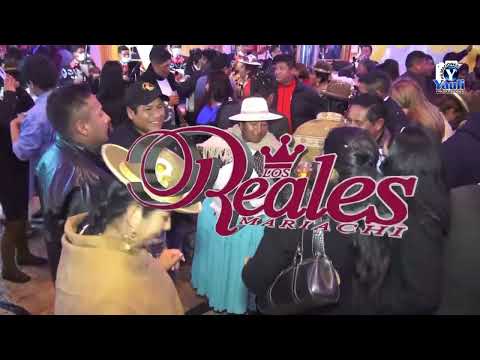 MARIACHI LOS REALES A DEVOCION DE SANTA CECILIA // VIACHA