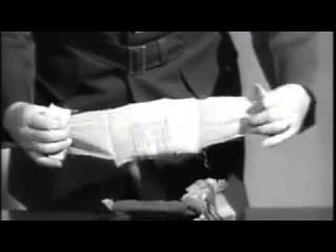 30th Infantry Division National Guard Old Hickory at the Western Front WW2 1940s