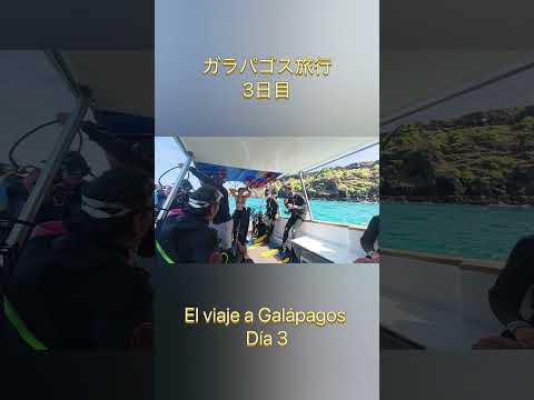 ガラパゴス旅行3日目-El viaje a Galápagos día 3-