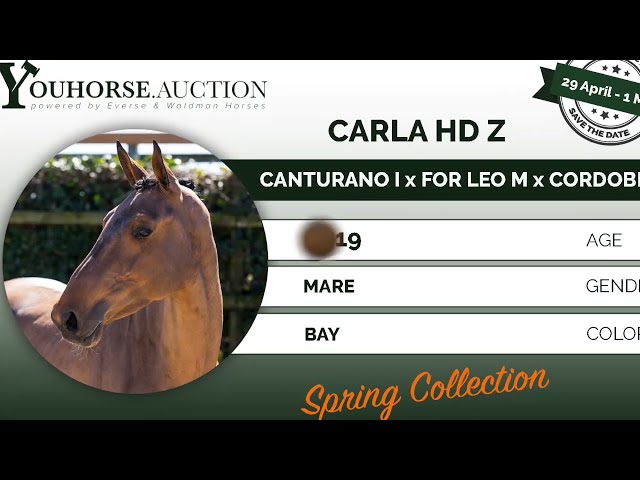 Carla jumping @ home