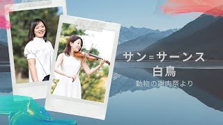 Download lagu おとらんど『動物の謝肉祭』より『白鳥』（サン＝サーンス） mp3