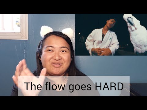 Reacting to VANNDA - "Ambition"