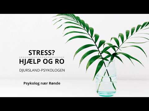 Psykolog nær Rønde: Stress og ro | Djursland-psykologen