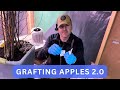 Apple Grafting