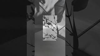 Ben Howard - Murmurations (Remix) Out Now