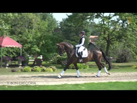 03 Bon Bravour Englisch