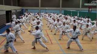 preview picture of video 'JKA Karate Stage Gasshuku in Belgium 2013'