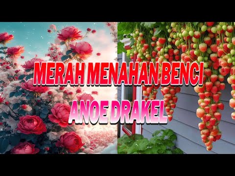 𝕄𝔼ℝ𝔸ℍ 𝕄𝔼ℕ𝔸ℍ𝔸ℕ 𝕄𝕌ℝ𝕂𝔸 🎤 Live 𝐂𝐨𝐯𝐞𝐫 by 𝐀𝐧𝐨𝐞 𝐃𝐫𝐚𝐤𝐞𝐥 (ORIGINAL)