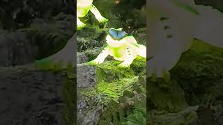 Angel I see only you エンジェル、貴方しか見えない